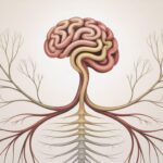 herramientas de gestión del estrés y regulación emocional